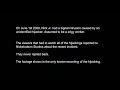 Beginning of video
