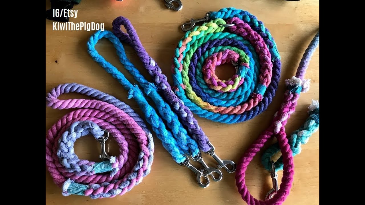 Service Dog Gear Haul YouTube