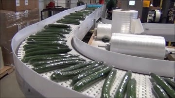 Fully automatic handling system for cucumbers
