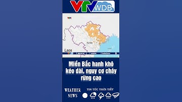 Miền Bắc hanh khô kéo dài, nguy cơ cháy rừng cao | VTVWDB