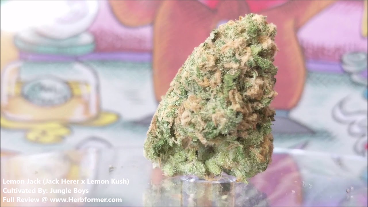 [Jungle Boys] Lemon Jack