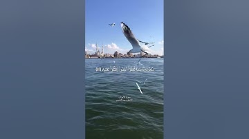 أواخر سورة الأحزاب الشيخ سعود الشريم 