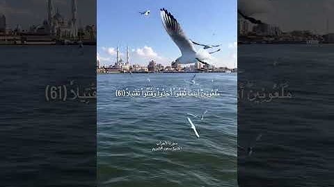 أواخر سورة الأحزاب الشيخ سعود الشريم 