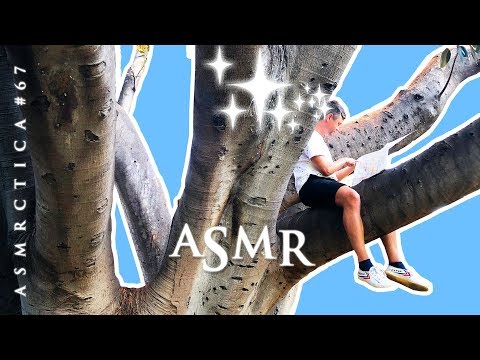 ASMR What Do