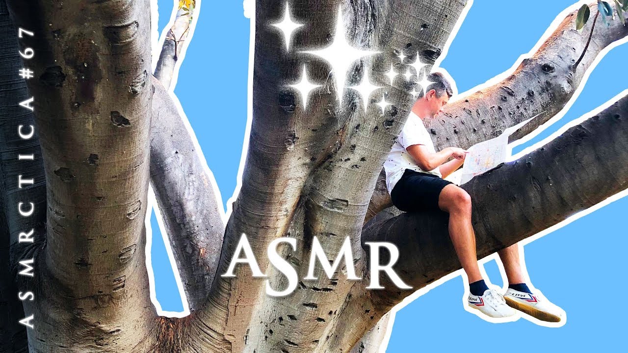 ASMR What Do Tingles Feel Like Tree Bark Tapping Rambling YouTube ASMR What Do Tingles Feel Like Tree Bark Tapping Rambling YouTube