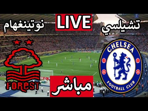 بث مباشر مباراة تشيلسي ونوتينغهام اليوم السبت الجولة 8 الدورى الانجليزى
