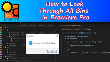 Go Through All Bins in the Project in Premiere Pro