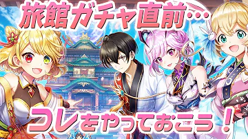 白猫 セメント 白猫 セメント