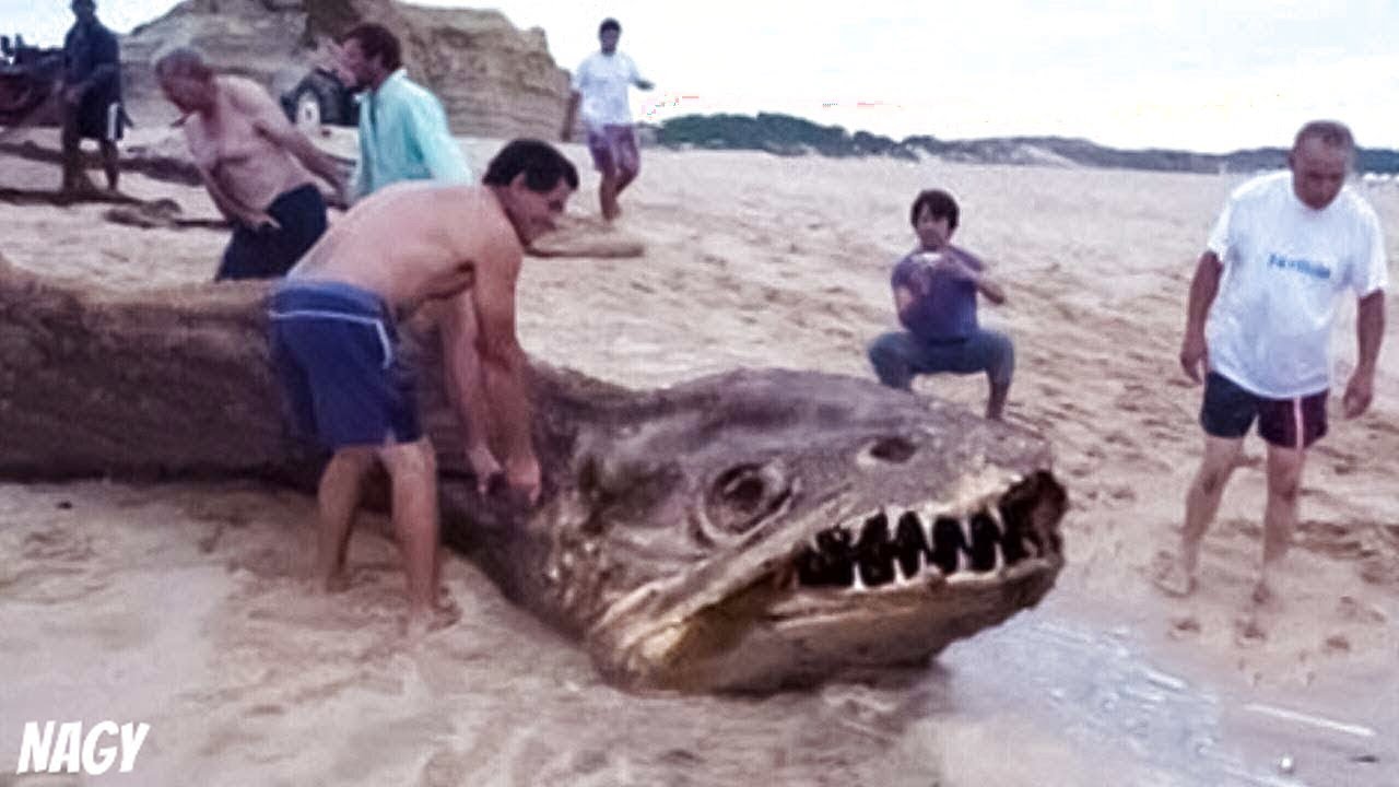 Most Unbelievable Beach Moments Ever Caught - YouTube