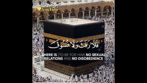حالات واتس اب قران ♥️🖇️ حالات واتس قرأن  تلاوة خاشعة || Quran Status🖇️💙 اية قرانية قصيره🎧❤️