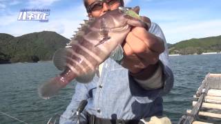 ハネエビ実釣解説