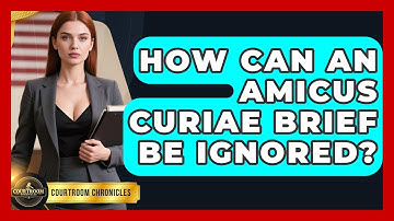 How Can An Amicus Curiae Brief Be Ignored? - Courtroom Chronicles