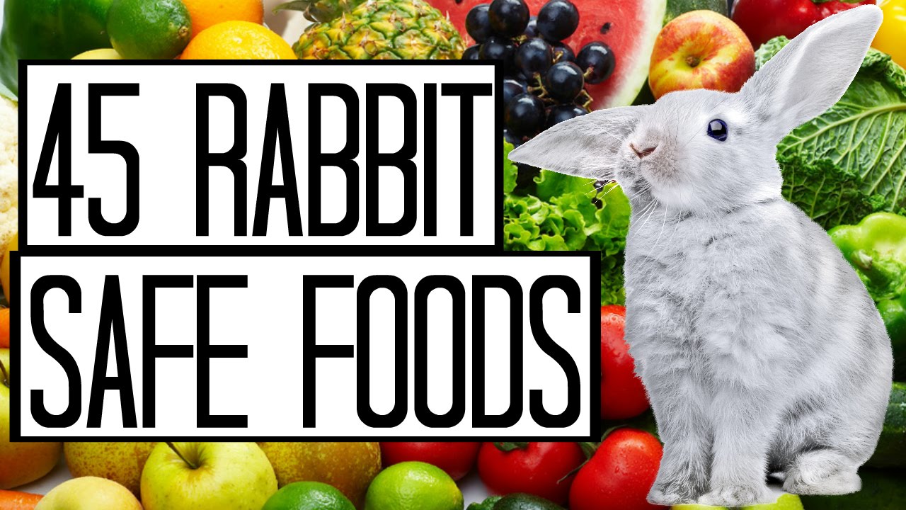 unsafe food for rabbits
