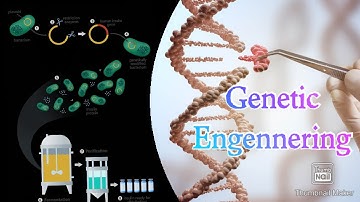 Biotechnology | Introduction of gene into Bacterium | Science chapter 3 class 8