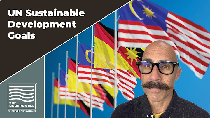 An Overview Of The United Nations Sustainable Development Goals