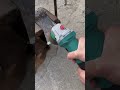 Angle grinder thickened trumpet sand