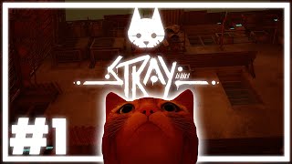The Most Cat Game Ever | Stray - Part 1