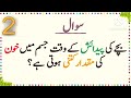 Dilchaps maloomat! amazing fact about humen! #paheliyan