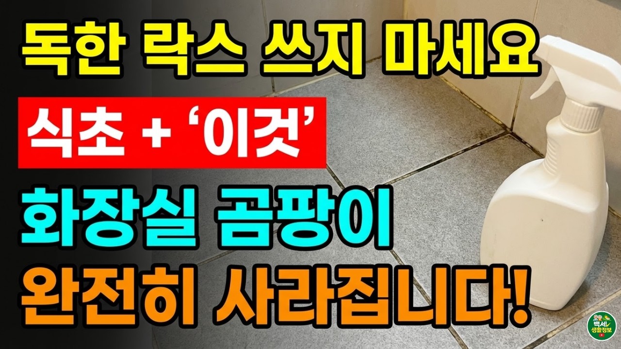 “아직도 락스 쓰세요?” 화장실청소 이것만 바꾸면 곰팡이 100% 잡습니다 | 생활정보 | 화장실공팡이제거법 | 노년건강