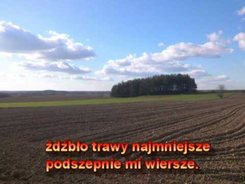 Tu Wszedzie Jest Moja Ojczyzna Instrumental Cover Roland Fa 06 Youtube