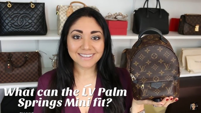 2019 What's In My Bag♡LV Palm Springs Backpack Mini + Review