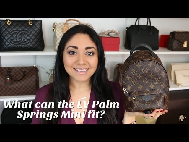 Comparing DEAUVILLE MINI to PALM SPRINGS MINI and TOY LOULOU 