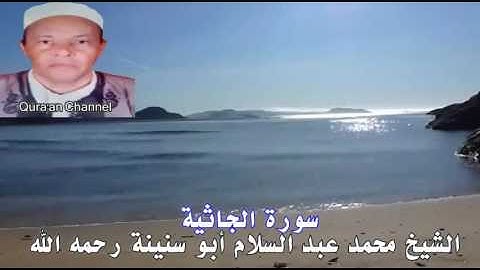 سورة الجاثية  محمد أبو سنينة برواية قالون