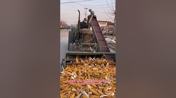 Modern Corn Harvesting Machine Smart Farming Technology#viral