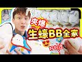 【夾娃娃🔥】捕獲生蠔BB！🦪大中小立體巨型squishy我全部都要😍還會震動？可愛值爆表🩷(中文字幕)