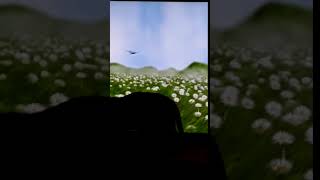 My cat Chasing Butterflies