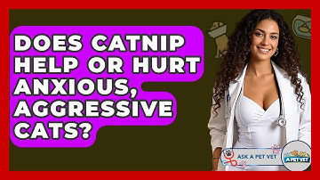 Does Catnip Help Or Hurt Anxious, Aggressive Cats? - Ask A Pet Vet