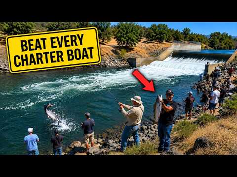 Northern California Fishing Spots That Outfish Charter Boats