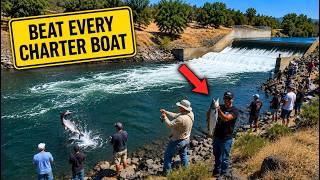 Northern California Fishing Spots That Outfish Charter Boats