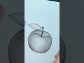How To Best Easy Apple Drawing With Pencil Sketch Shorts Apple