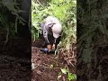 hinanap yong kadogtong Ng tubo dahil natabonan Ng damo