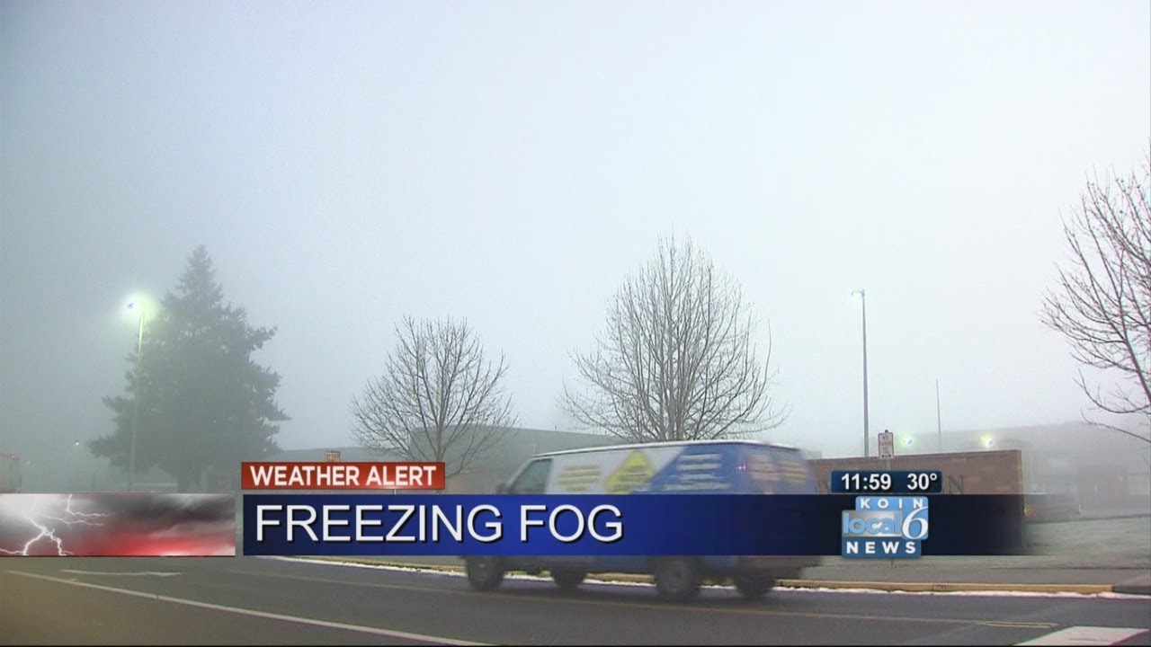 Freezing fog, slick roads close schools - YouTube