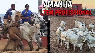 😱AMANHÃ TEM CATEGORIA PROFISSIONAL NA FAZENDA SÃO FRANCISCO|Etapa do PORTAL VAQUEJADA.