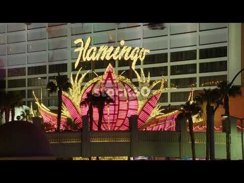 Hunted BIG WIN - In The Shells DoubleU Casino