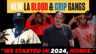 THE NEW 🩸♿️ HOODS IN LA!  AS OF 2026 