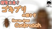 ひつじのショーン ショーンの描き方 Youtube ひつじのショーン ショーンの描き方 Youtube