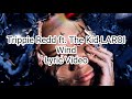 Trippie Redd Ft The Kid LAROI Wind Lyric Video mp3