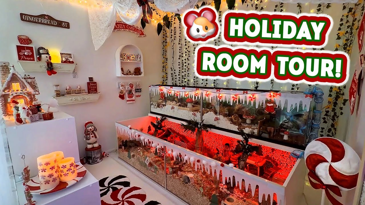 Holiday Hamster Room Tour! (Winter Version)