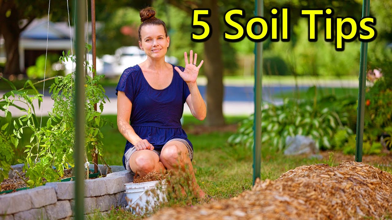 How to have healthy garden soil (for a happier garden!) - YouTube