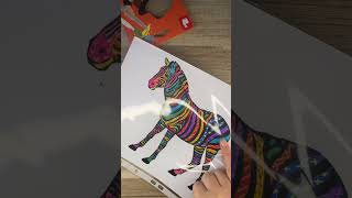 Coloriage et feutre magique avec le zèbre coloré #assmat #art #diy