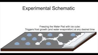 Controlling Condensation and Frost Growth with Chemical Micropatterns