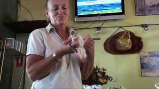 Rockhampton Crocodile Farm .mpg
