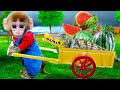 Binbon monkey baby harvest watermelon in the farm and get trouble with crocodile | Animal HT