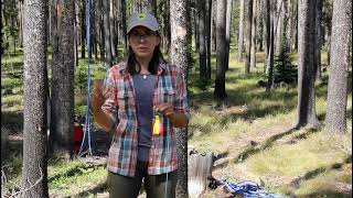 How to Use Bear Poles in the Backcountry by People and Carnivores 2,043 views 2 years ago 1 minute