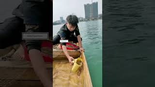 Daily Line Fishing In River At Home