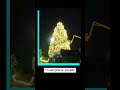 ❄️Новый год уже близко! / #новостибеларуси